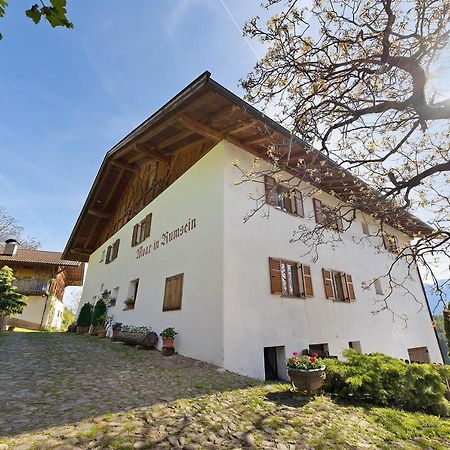 Moar Im Rumsein - Apt Etschblick San Genesio Atesino Exterior foto